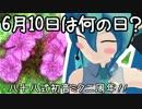 【MMD】ネギ入りたこうさ「6月10日は何の日？」88式ミクさんのニ周年記念