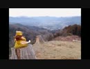 2014年01月25日 旧二ツ塚峠を探検する - 旧二ツ塚峠頂 Part2