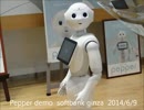 Pepper demo 2014/6/9
