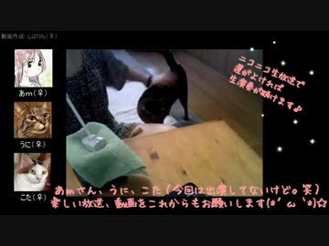 うちの猫と猫になりたいを歌ってみた