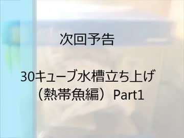 30cm水槽(キューブ)立ち上げpart4　外部フィルター導入編