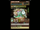 【パズドラ】焔の龍騎姫 地獄級ノーコン【アテナ＆光パール】