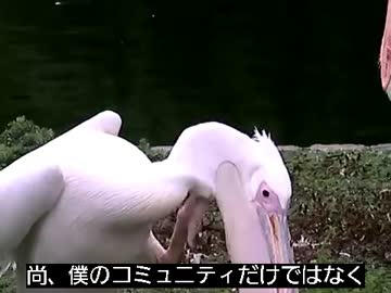 [裏技]ニコニコ動画の閲覧数を上げる方法[既出]