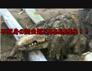 ゆっくり霊夢と魔理沙のSCP講座5