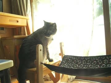 もうすぐ２年半　ジャンくんの感謝の気持ち