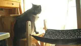 もうすぐ２年半　ジャンくんの感謝の気持ち