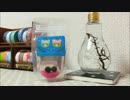 スカーレットシュリンプ（scarlet shrimp） in電球　「マリモをin」