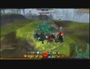 GW2 Zerg fights