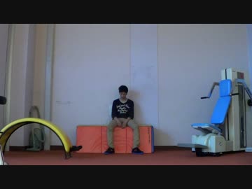 【ネス】_sin_  踊ってみた【ロクハ、たまと誕生日！】