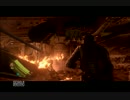 amarec(20140612-0302).mp4