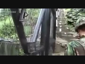韓国軍、ＤＭＺ捜索隊は今。。(字幕)