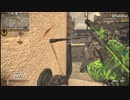 【COD:G】サイヤ人aim実況　part.17 フレと動物園に来ました
