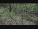 霜降山でソロキャンプ！