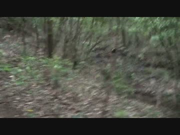 霜降山でソロキャンプ！