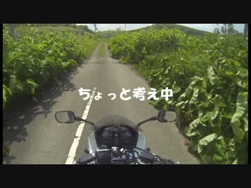 本当は白い道に行きたかったんだ