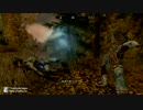 【Skyrim】 黒檀の戦士を従者が倒す 番外編2 【闇夜のセラーナ様】