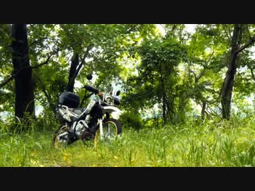 【病み上がり】ヤマメの刺身と市営温泉【ツーリングセロー】