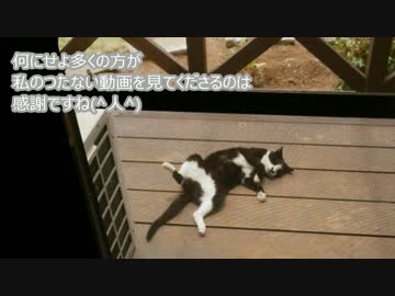 まったり田舎暮らし　その１３