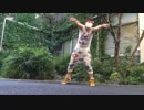 【踊ってみた】　我図慕純壱　【ヒット曲】
