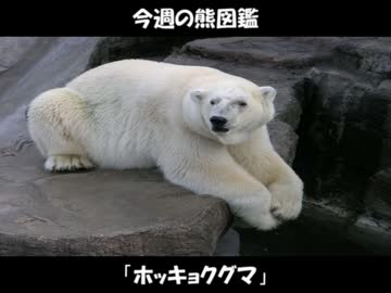 クマ、飼ってみたら可愛すぎたので実況 part3