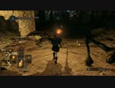 【共闘実況】槍厨と短剣厨の珍道中Part6【ダークソウル2】