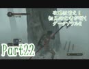 【実況】攻略は甘え！初見の亡者が行くダークソウル2【DarkSoulsII】part22