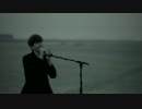 Park Hyo Shin - Wild Flower