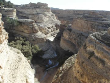 【NNIオリジナル曲】Mides