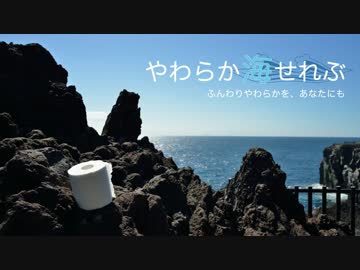 やわらか海せれぶ