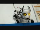 人の言葉を理解する犬型ロボットと戯れてみた。