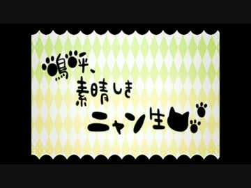 【Sette】 嗚呼、素晴らしきニャン生 【obaca】