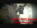 【Red Hot Chili Peppers】　『Stone cold bush』　弾いてみた　【ベース】