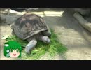 ゆっくりさなえのレプタイル放浪記　#Ex　恩賜上野動物園　両生爬虫類館