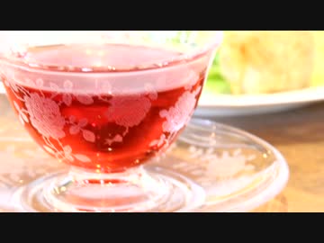 【女子ツー】絵本に出てきそうなメルヘンなお店へ【なめネコ】