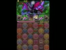 【パズドラ】パズドラＺコラボ　Ｚ級　将軍ＰＴ