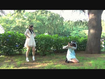 【ぴょあ×にゃら】 とんとんまーえ！ 【はしゃいでみた】