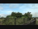 20140616_081229名蔵のクマゼミ6.mp4