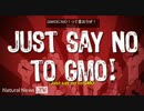 遺伝子組換食品（ＧＭＯ）にＮＯ！って言おうぜ！ﾏｲｸ･ｱﾀﾞﾑｽ