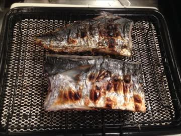 【かーびーの釣り日記】 part25 敦賀いってきた