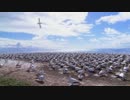 TEST_UP用.mp4