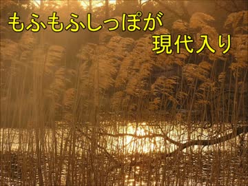 もふもふしっぽが現代入り　第１８話