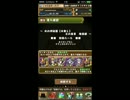 【パズドラ】水の神秘龍　地獄級に突撃！【ＬＦ光アヌビス】