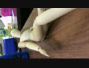 萌えたら勝ち(´･Д･)」