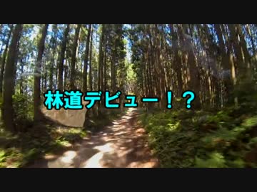 【林道！？】静岡市営温泉　やませみの湯 前編【ツーリングセロー】