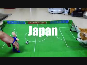 【マンチカンズ】日本対ギリシャを予想する猫動画【ワールドカップ】