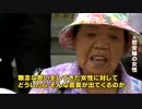 韓国の教授「慰安婦」に訴えられるｗ