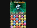 パズドラ　水の神秘龍地獄級二回戦②