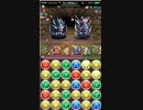 パズドラ　~超メタドラ　降臨！メタドラの逆襲！～