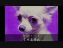 おもしろ犬動画　犬たちの反逆の映画　第１２話