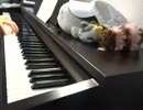 【FF】「愛のテーマ」を弾いてみた【ピアノ】